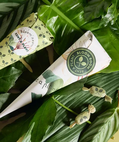 Kremmerhus vs godteposer - Hvilken emballasje passer din bedrift?